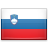 Slovenia flag